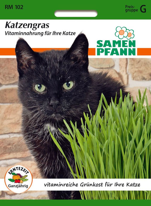 Vorderseite der Verpackung des Saatgutes Katzengras der Firma Samen Pfann von ihrgartenberater.de