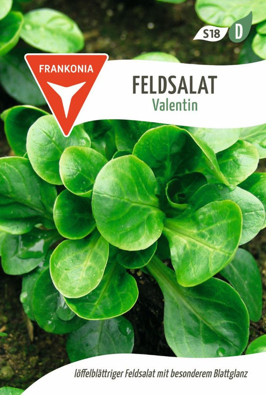 Vorderseite der Verpackung des Saatgutes Feldsalat, Valentin der Firma Frankonia Samen von ihrgartenberater.de