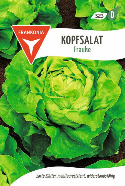 Vorderseite der Verpackung des Saatgutes Kopfsalat, Frauke der Firma Frankonia Samen von ihrgartenberater.de