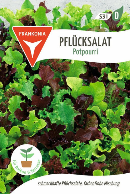 Vorderseite der Verpackung des Saatgutes Pflücksalat, Potpourri der Firma Frankonia Samen von ihrgartenberater.de