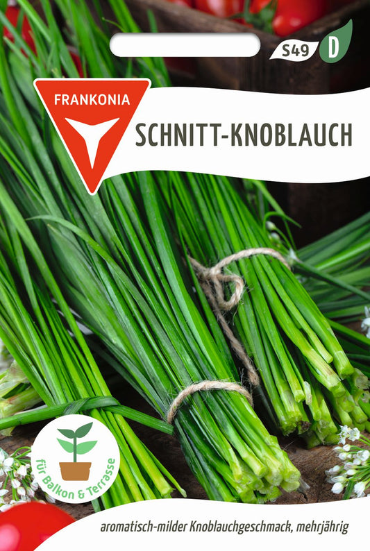 Vorderseite der Verpackung des Saatgutes Schnitt - Knoblauch der Firma Frankonia Samen von ihrgartenberater.de