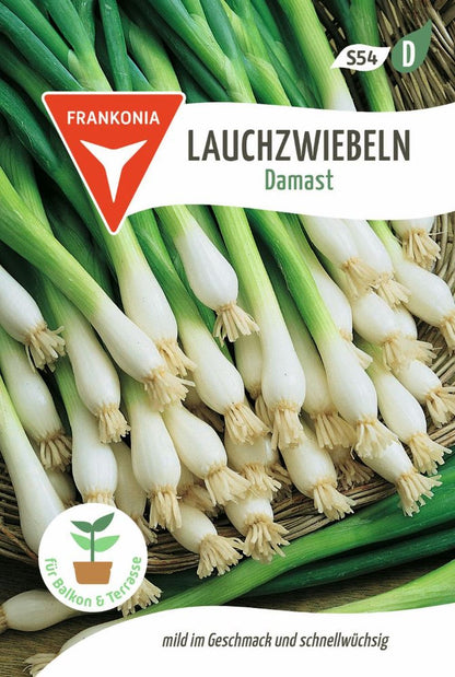 Vorderseite der Verpackung des Saatgutes Lauchzwiebel, Damast der Firma Frankonia Samen von ihrgartenberater.de