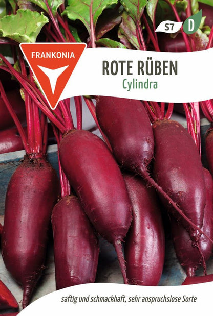 Vorderseite der Verpackung des Saatgutes Rote Rübe, Cylindra der Firma Frankonia Samen von ihrgartenberater.de