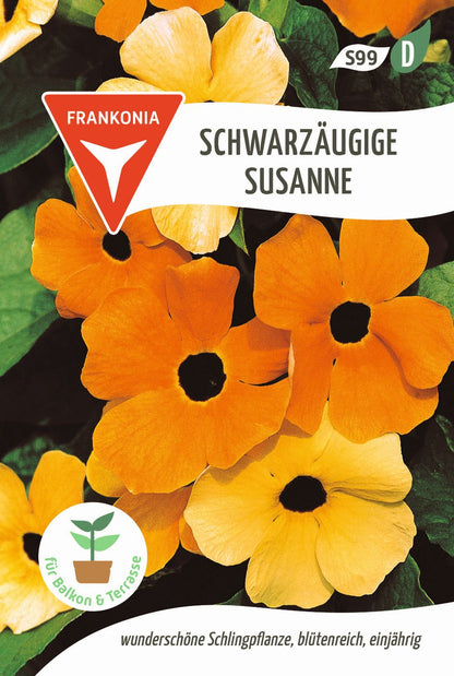 Vorderseite der Verpackung des Saatgutes Schwarzäugige Susanne der Firma Frankonia Samen von ihrgartenberater.de