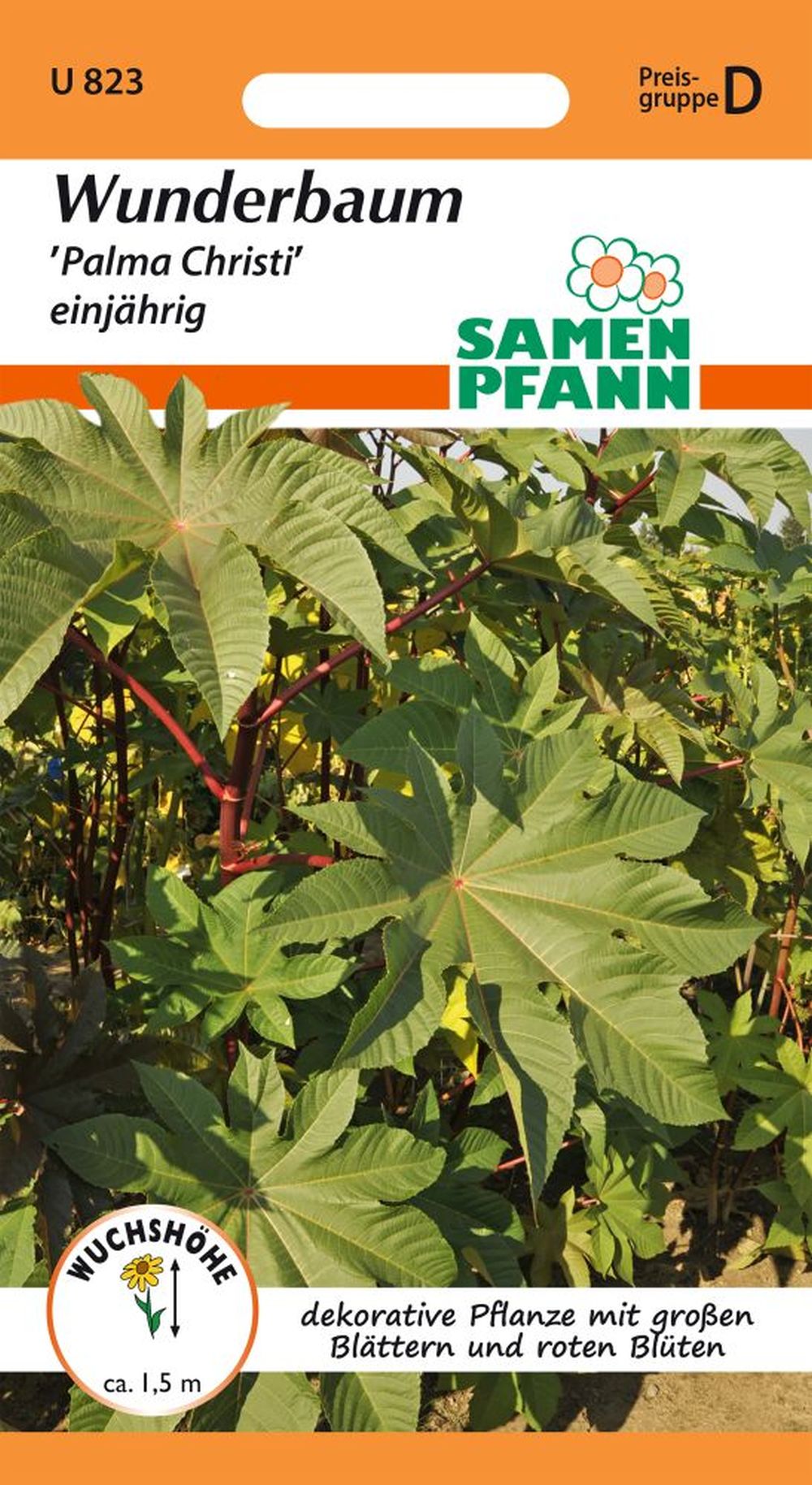 Vorderseite der Verpackung des Saatgutes Wunderbaum (Ricinus), Palma Christi der Firma Samen Pfann von ihrgartenberater.de