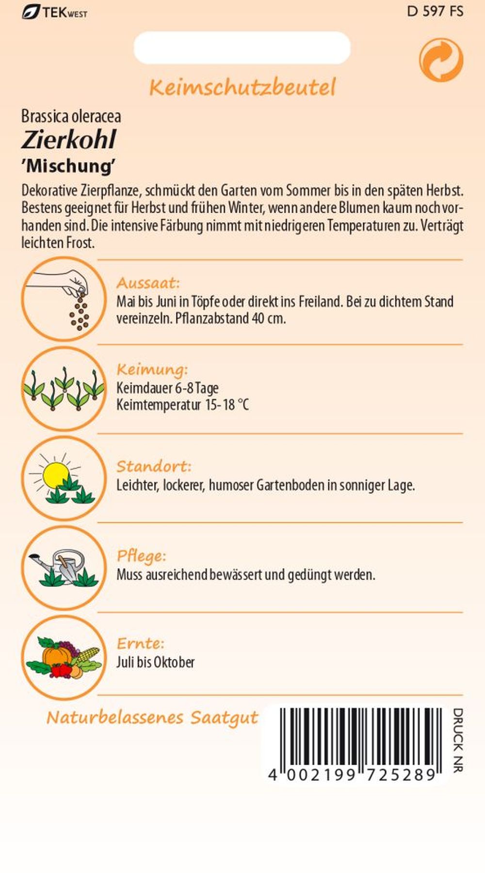 Rückseite der Verpackung des Saatgutes Zierkohl, Mischung der Firma Samen Pfann von ihrgartenberater.de