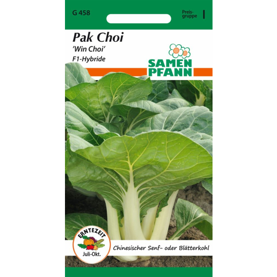 Pak Choi, Chinesischer Senfkohl, Win Choi F1