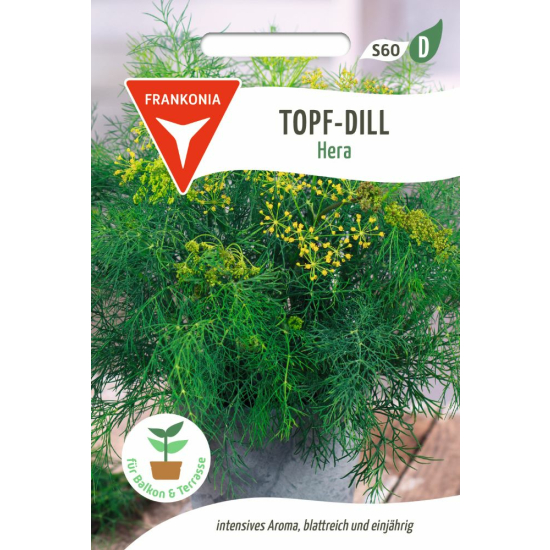 Topf-Dill, Hera