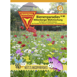 Bienenparadies, Miltenberger Blühmischung