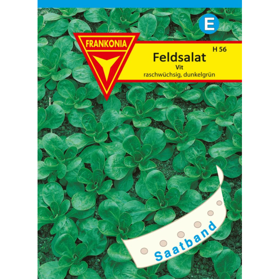 Feldsalat, Vit Saatband