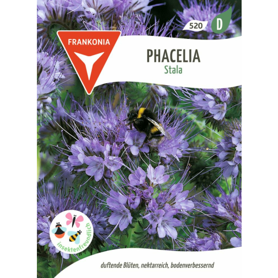 Phacelia, Bienenweide Portion für 10 m²