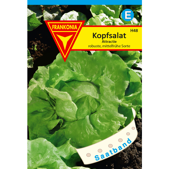 Kopfsalat, Attraktion Saatband