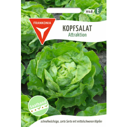 Kopfsalat, Attraktion Saatband