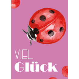 Samentüte / Werbetüte "Viel Glück"