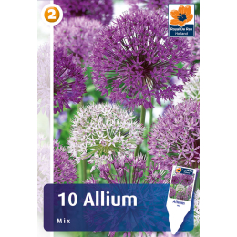 Allium, Mischung