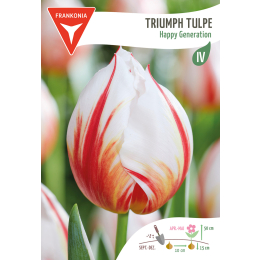 Triumph Tulpe, Happy Generation