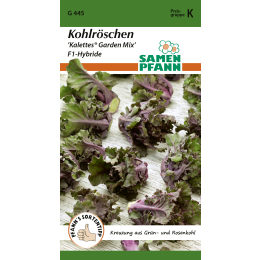 Kohlröschen, Kalettes Garden Mix F1