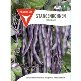 Stangenbohne, Blauhilde