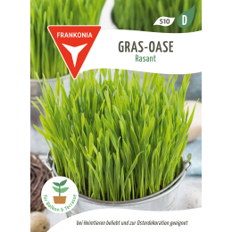 Gras-Oase, Rasant